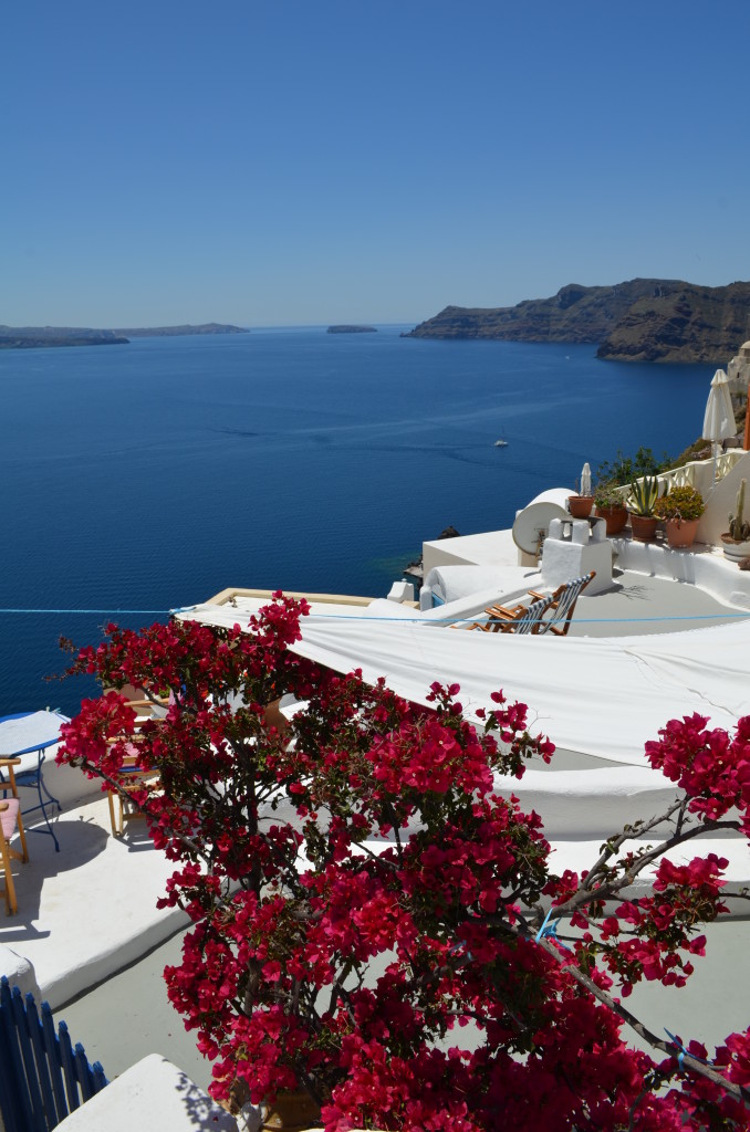 Santorini is a Dream-Bougainvillea with the caldera view- www.afriendafar.com #greece #santorini #oia