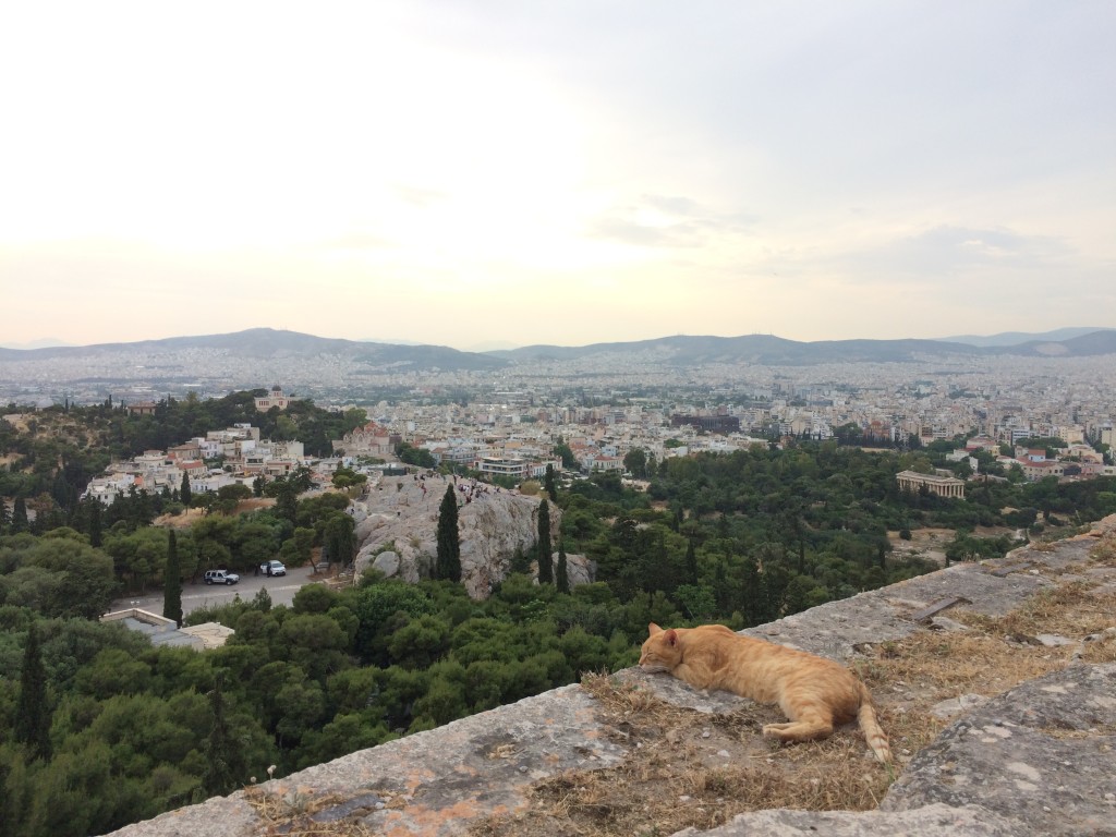 Cats of Greece- www.afriendafar.com #afriendafar #catsofgreece