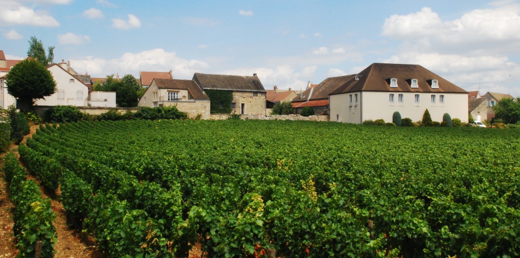 Where to go in France: Biking Through Vineyards in Burgundy - www.AFriendAfar.com
