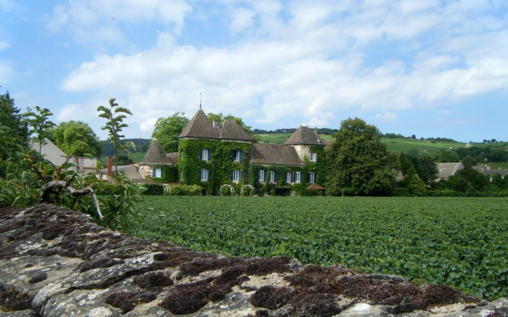 Where to go in France: Biking Through Vineyards in Burgundy - www.AFriendAfar.com