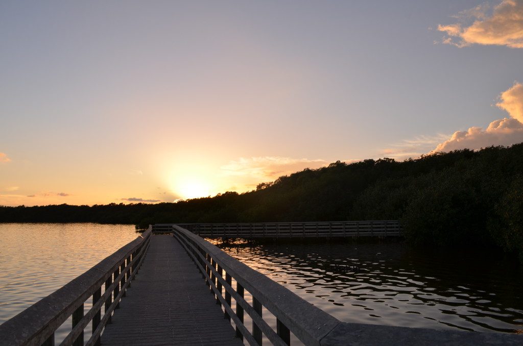 National Parks in Florida- Everglades- www.afriendafar.com #everglades #florida