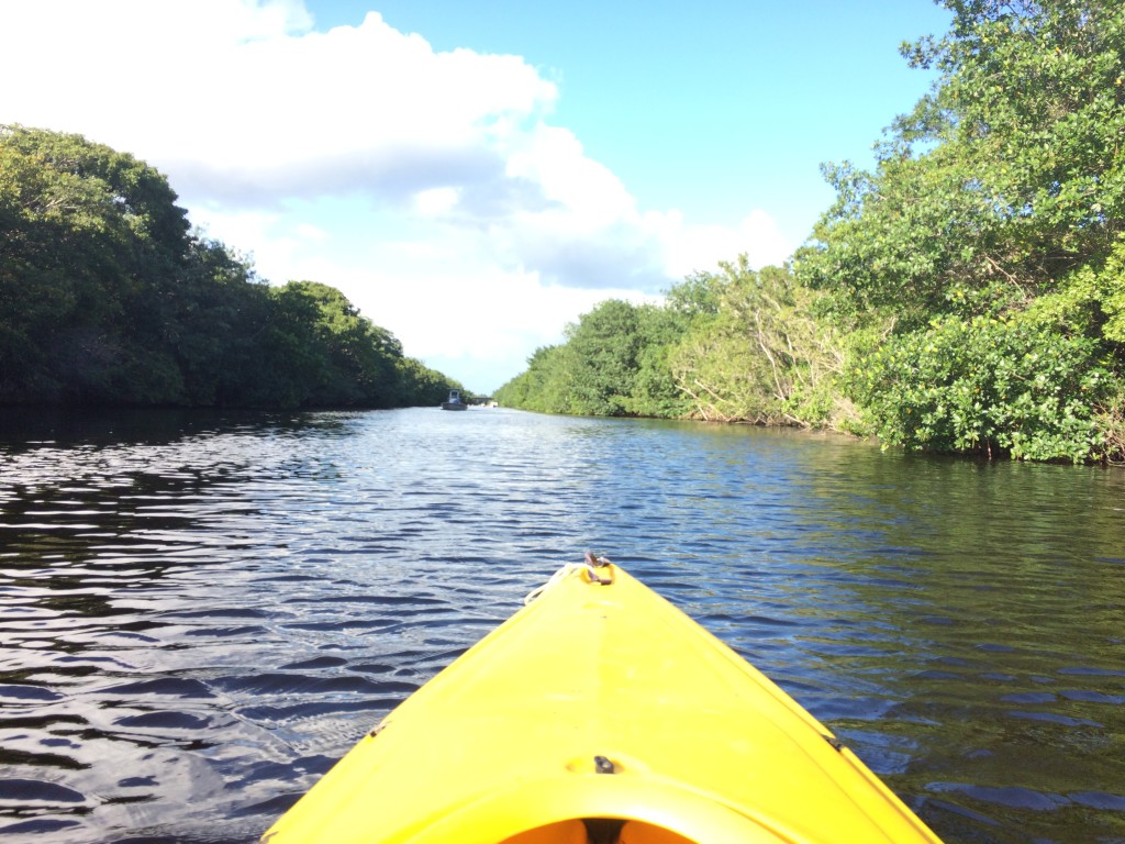 National Parks in Florida- Everglades- www.afriendafar.com #everglades #florida
