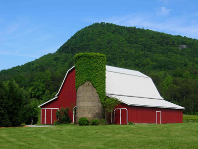 Tiger Mountain Vineyards - North Georgia Wine Weekend