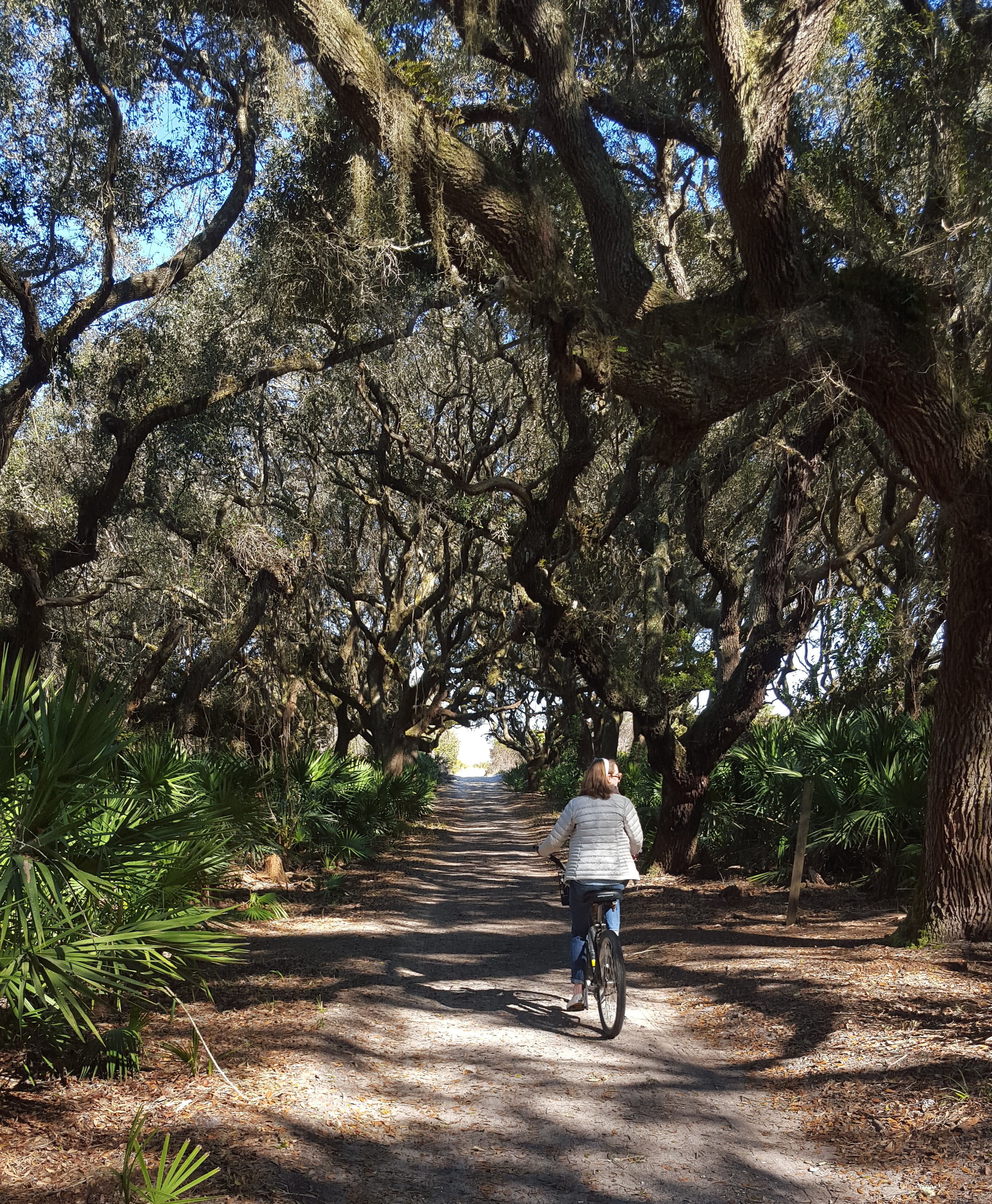 Cumberland Island Vacation Guide - A Friend Afar