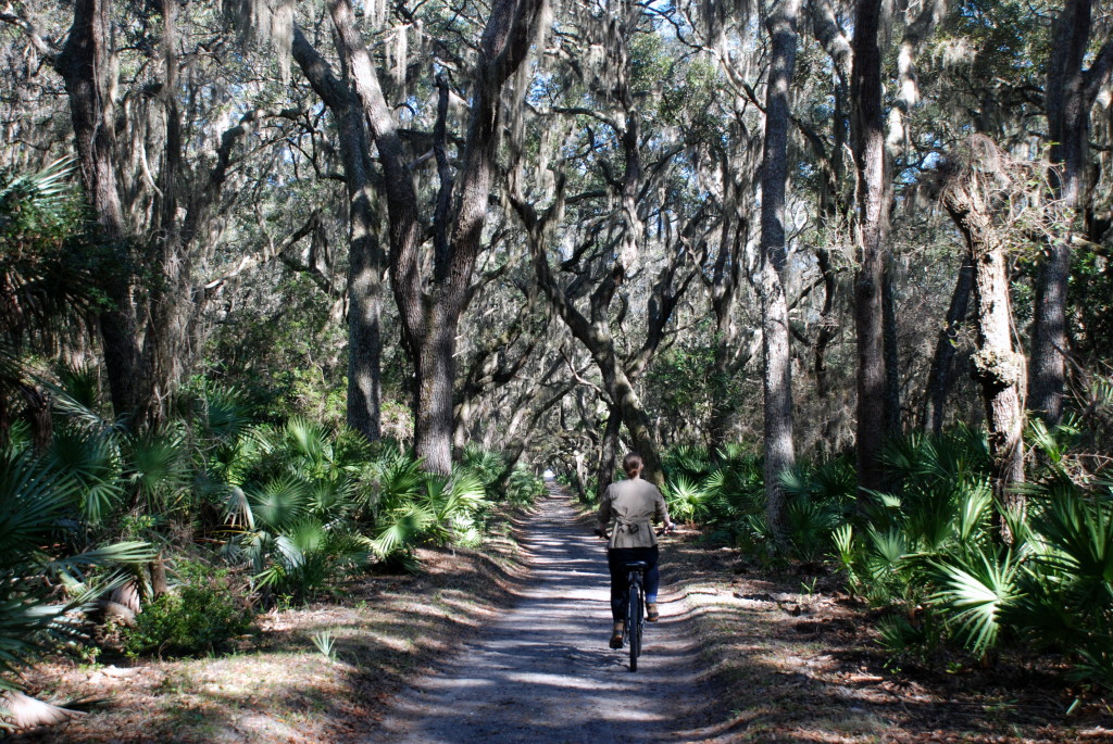 Georgia Getaways - Cumberland Island Vacation Guide - www.AFriendAfar.com