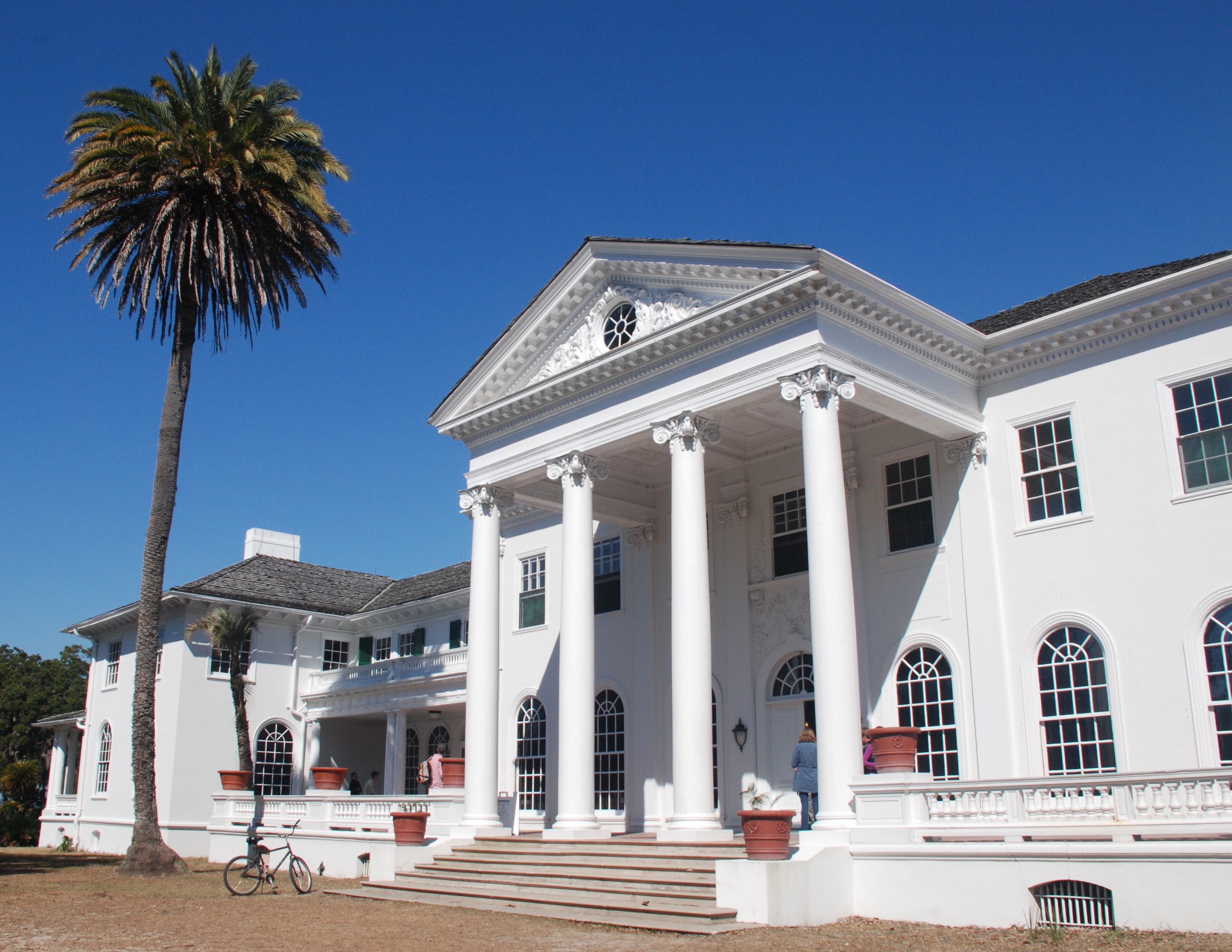 Cumberland Island Vacation Guide - A Friend Afar