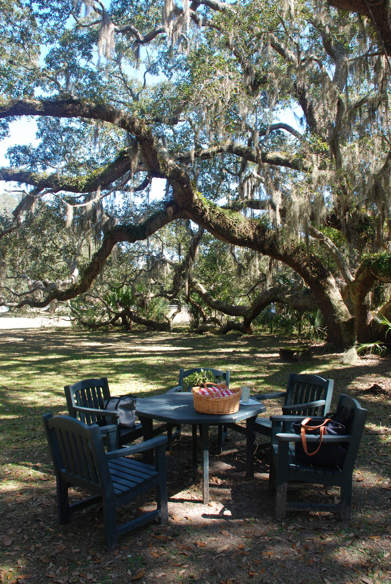 The Greyfield Inn on Cumberland Island