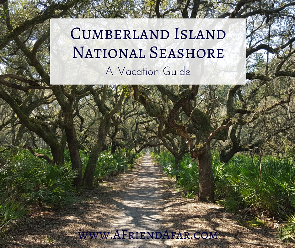 Cumberland Island Vacation Guide - A Friend Afar