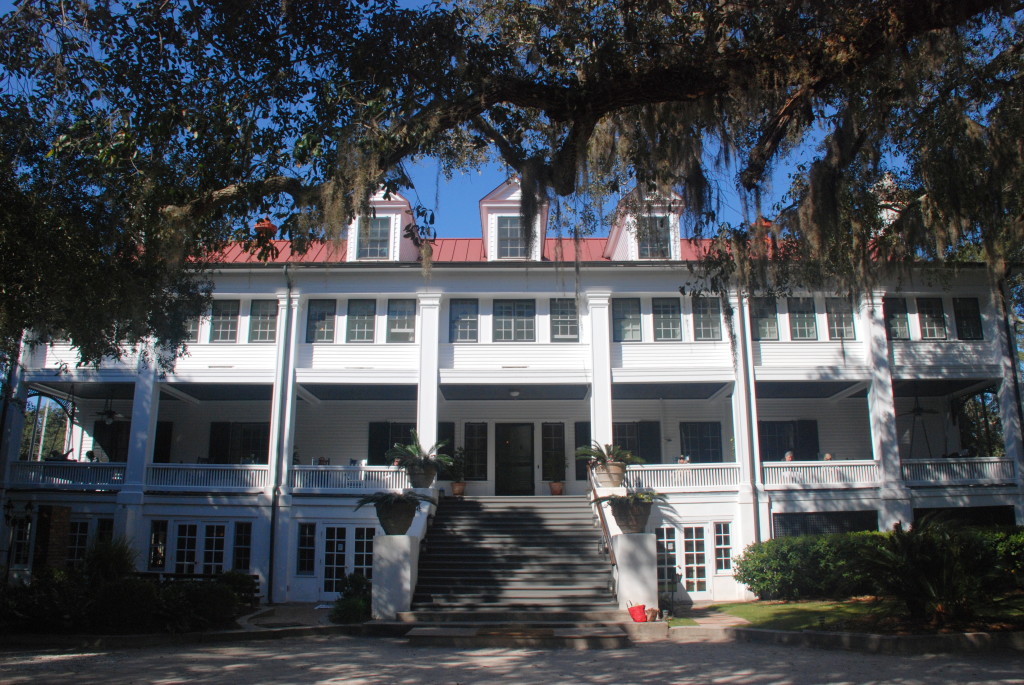 Cumberland Island Vacation Guide - A Friend Afar