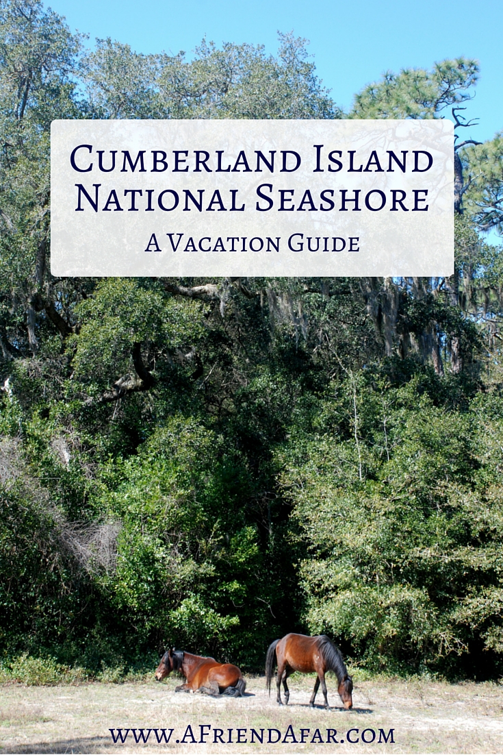 Cumberland Island Vacation Guide - A Friend Afar