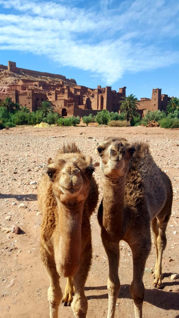 Ait Ben Haddou, Morocco - Game of Thrones Filming Location