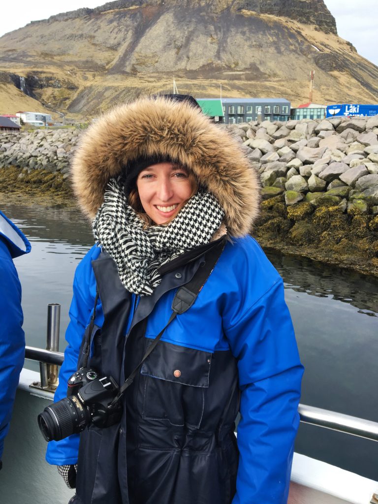 Whale Watching in Iceland-www.afriendafar.com #Iceland #whalewatching #LakiTours