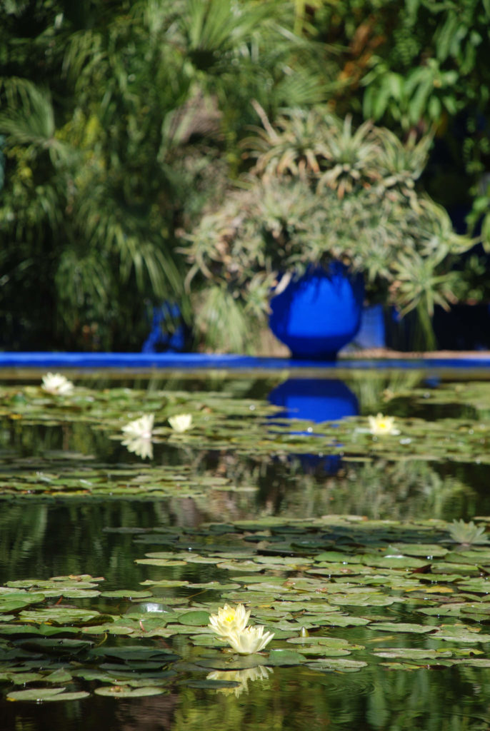 The Jardin Majorelle of Yves Saint Laurent - Marrakech Retreats - www.AFriendAfar.com