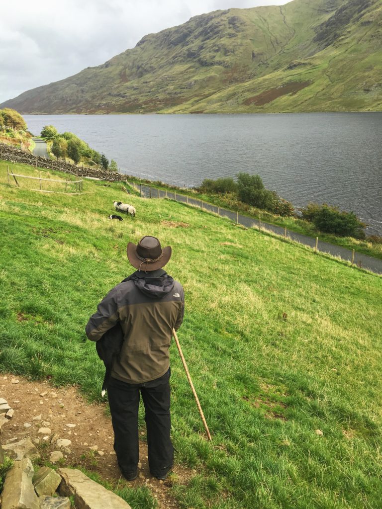 Visiting an Irish Sheep Dog Farm - www.AFriendAfar.com - #connemara #sheepdogfarm #countygalway