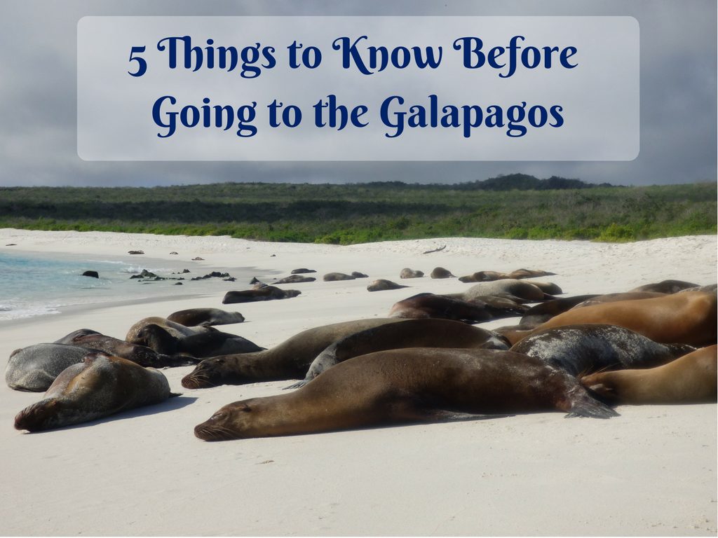 Galapagos