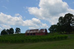 Five Wineries to Visit in North Georgia- Three Sisters Barn- www.afriendafar.com- #threesisters #northgeorgiawineries