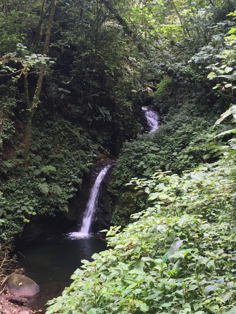 Guest Post: Leaving My Comfort Zone in Costa Rica- Waterfall- www.afriendafar.com #costarica