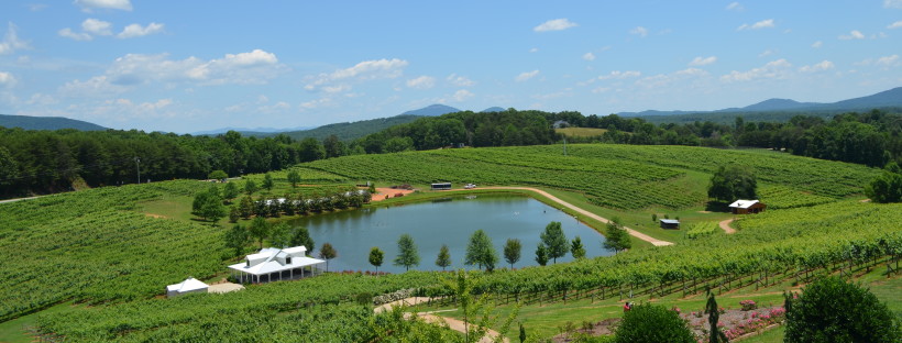 Five Wineries to Visit in North Georgia- Frogtown Cellars Vineyard- www.afriendafar.com- #frogtowncellars #northgeorgiawineries