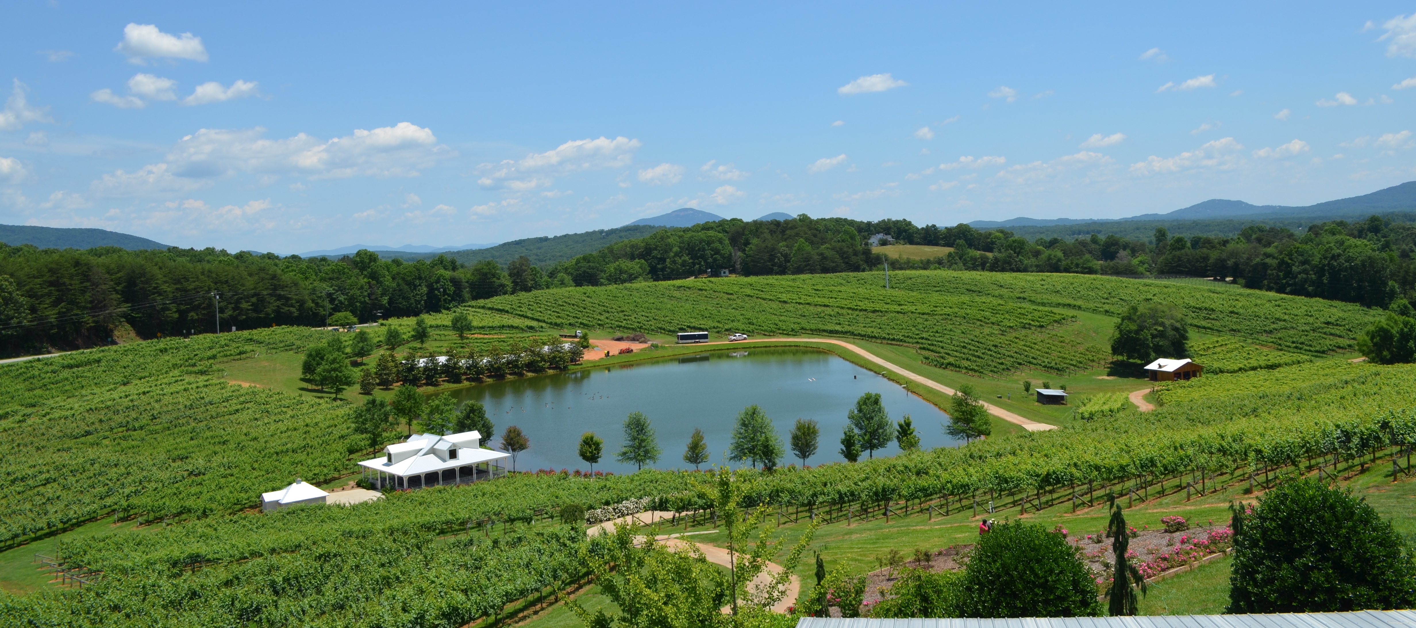 wine tours in ga