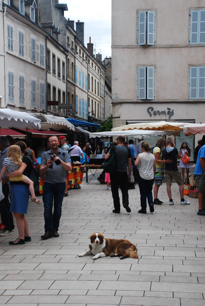 5 Reasons to Fall in Love with Beaune in Burgundy, France - www.AFriendAfar.com