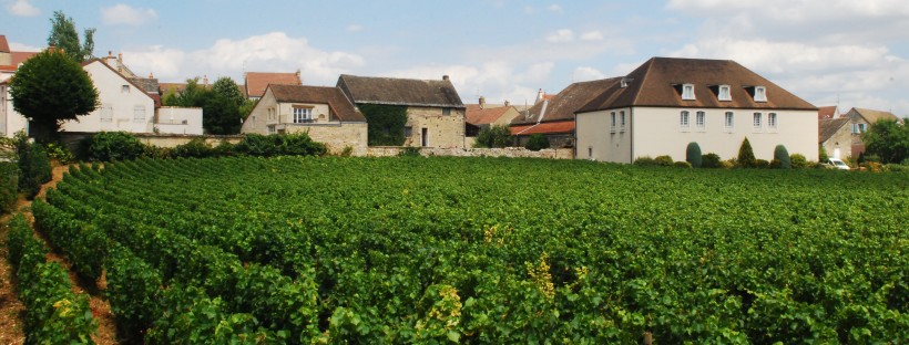 Where to go in France: Biking Through Vineyards in Burgundy - www.AFriendAfar.com