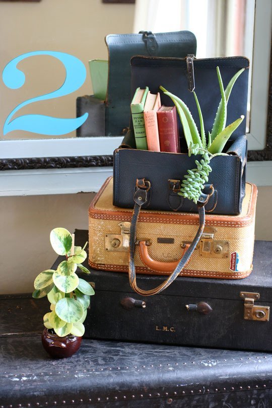 Suitcase Succulent Planter - Wanderlust Style: Suitcases as Decor - www.AFriendAfar