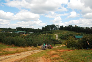 Apple Picking in Georgia - the Best Fall Activities - www.AFriendAfar.com