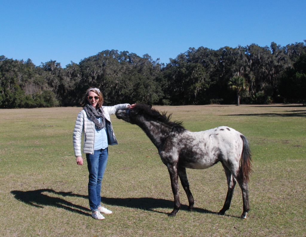 Cumberland Island Vacation Guide - www.AFriendAfar.com